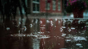 Captivating Rainfall In 4k Wallpaper