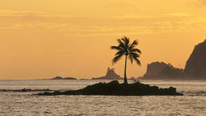 Captivating Silhouette Of A Lone Coconut Tree On An Island Wallpaper