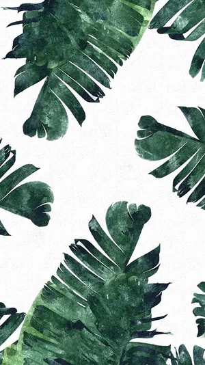 Captivating Tropical Plantlife Wallpaper