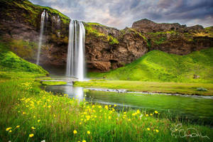 Captivating Waterfall Oasis Wallpaper