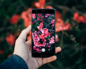 Captivating Waterfalls Amidst Lush Greenery: A Glimpse Of Nature's Beauty On Your Phone Wallpaper