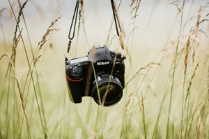 Capture Nature's Beauty With Modern Technology Wallpaper