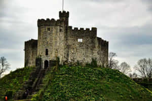 Cardiff Castle Aesthetic View Wallpaper