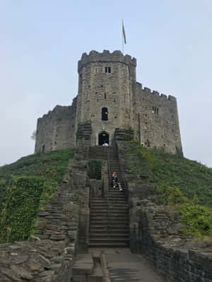 Cardiff Castle Ladder Wallpaper