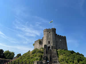 Cardiff Castle Leading Attraction Wallpaper