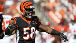 Carl Lawson In Stadium Wallpaper