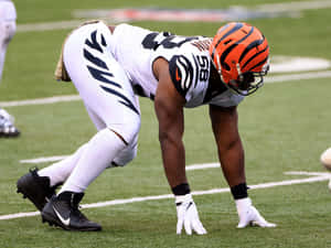 Carl Lawson Is Ready Wallpaper