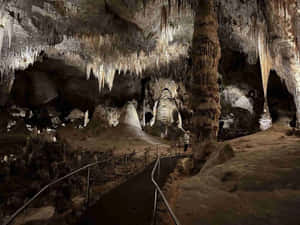 Carlsbad Caverns National Park New Mexico Wallpaper