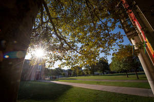 Carnegie Mellon University Grounds Wallpaper