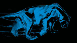 Carolina Panthers Blue Chalk Wallpaper