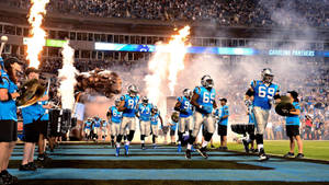 Carolina Panthers Grand Entrance Wallpaper