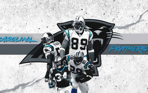 Carolina Panthers Legend Players Wallpaper