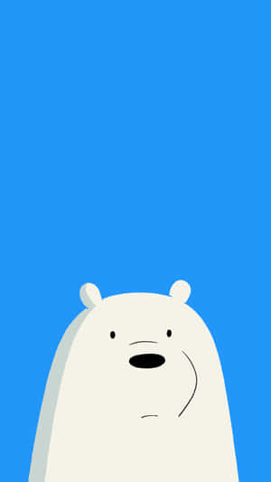 Cartoon Bear Blue Background Wallpaper