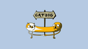 Cartoon Catdog Wallpaper