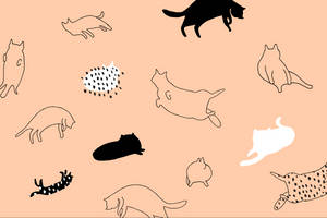 Cartoon Cats Minimalist Art Wallpaper