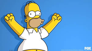 Cartoon Character Homer Simpson Wallpaper