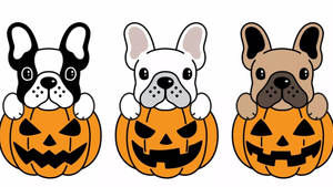 Cartoon Halloween Puppies In Pumpkins Wallpaper