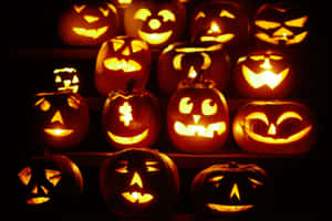 Carved Pumpkin Various Expressions Wallpaper