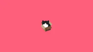 Cat Inside A Box Plain Aesthetic Wallpaper