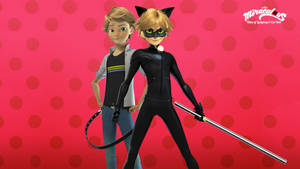 Cat Noir From Miraculous Wallpaper