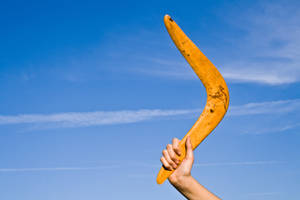 Catch The Fun: Kids Enjoying A Boomerang Game In The Park Wallpaper