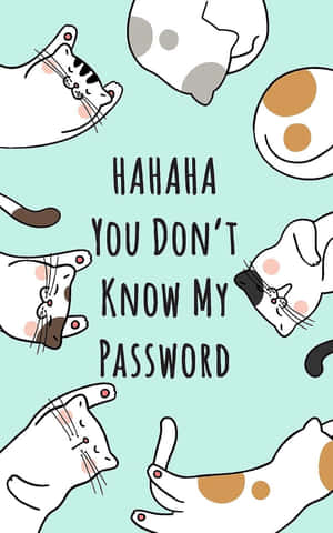 Cats Password Humor Illustration Wallpaper