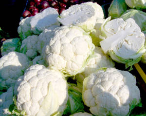 Cauliflower Sunbeam Wallpaper