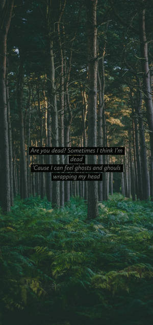 Cavetown Lyrics Wallpaper