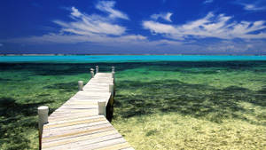 Cayman Island Grand Pier Wallpaper