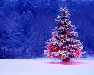 Celebrate Christmas With A Colorful Tree Blended Into The Blue Forest Wallpaper