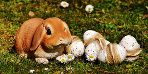 Celebrate Easter With Joy! Wallpaper