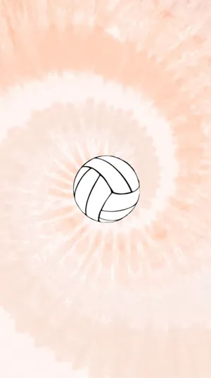 Celebrate Summer With A Game Of Volleyball! Wallpaper