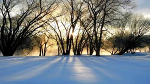 Celebrate The Winter Solstice With A Scenic Snowy Landscape Wallpaper