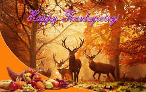 Celebrating Gratitude This Thanksgiving Wallpaper