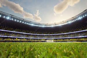 Celebrating Soccer At Its Finest Wallpaper