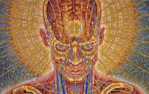 Celestial Psychedelic Artwork By Alex Grey Wallpaper