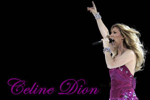 Celine Dion Singing During Concert Wallpaper