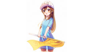 Cells At Work Anime Platelet Wallpaper