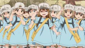 Cells At Work Platelet Division Wallpaper