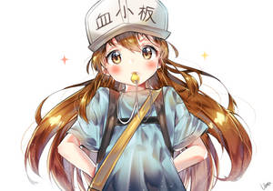 Cells At Work Platelet Fanart Wallpaper