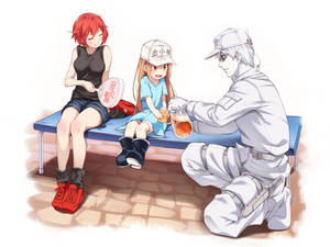 Cells At Work Tea Time Fanart Wallpaper