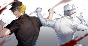 Cells At Work Wbc And Killer T Cell Wallpaper