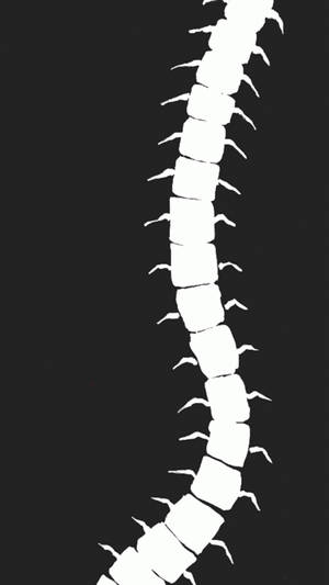 Centipede Drawing Black And White Wallpaper