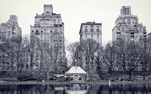 Central Park Lake New York Black And White Wallpaper