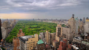 Central Park New York City 4k Ultra Hd Wallpaper