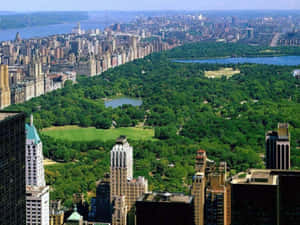 Central Park New York City Laptop Wallpaper