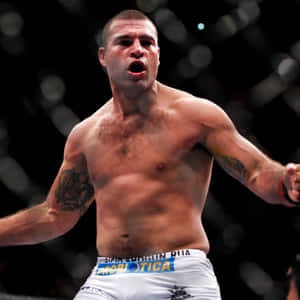 Champion Mauricio Rua Aka Shogun Wallpaper