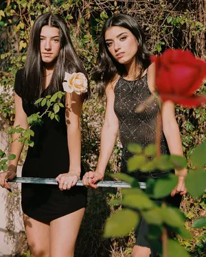 Charlie Damelio Dixie Damelio Wallpaper