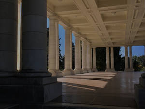 Cheesman Park Hall Wallpaper