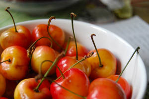 Chelan Cherries Wallpaper